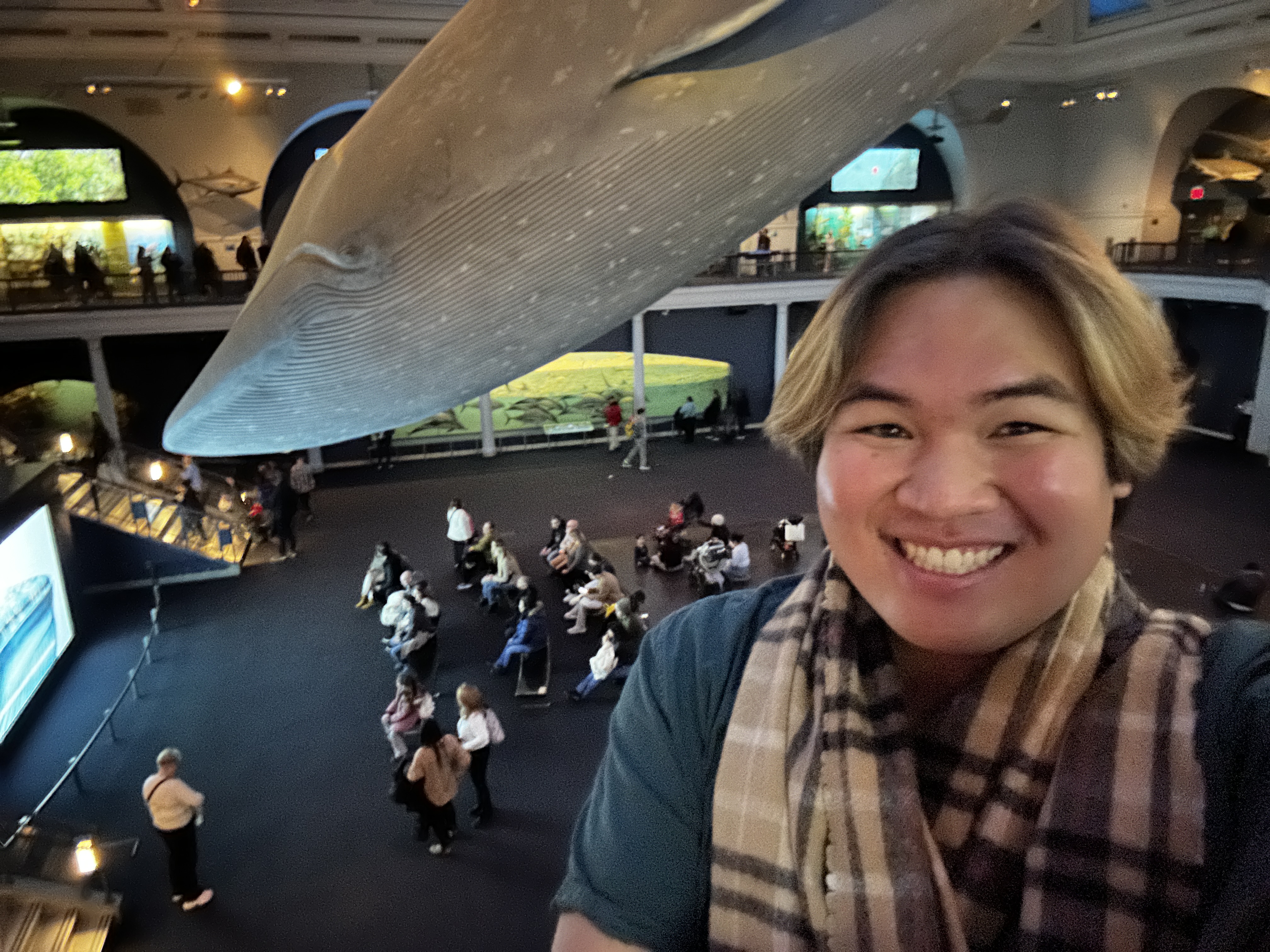 Anthony Joson headshot